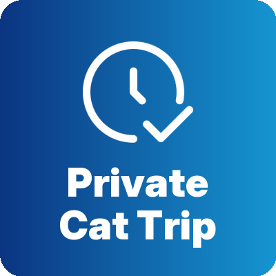 Private Cat Ski (up to 12 guests)