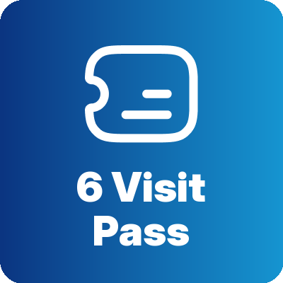 6 Visit Pass